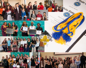 DAPi Chapters photos